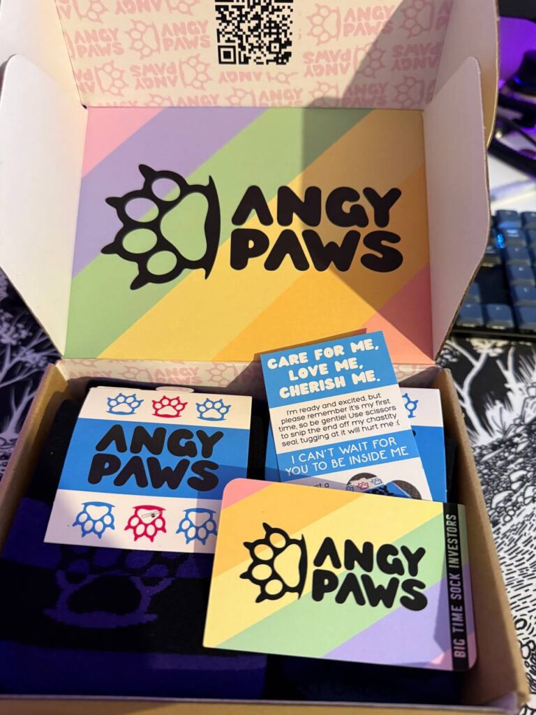 Cardboard box branded with “Angy Paws” with a rainbow flag. Inside, a few cards, and socks.
