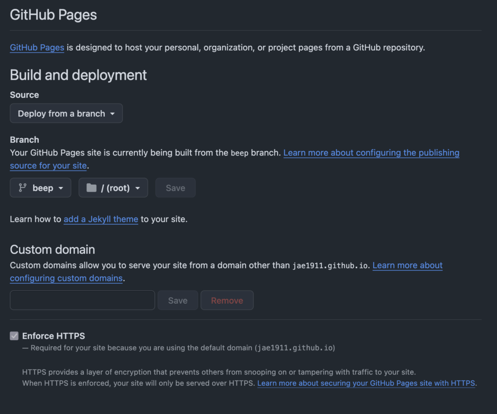Screenshot of the GitHub Pages configuration interface showing the Source, Branch, custom domain and HTTPS enforcement.
