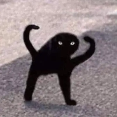 Cats Who Code (cursed)
