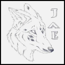 jae avatar